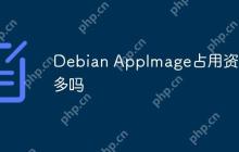 Debian AppImage占用资源多吗