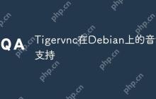 Tigervnc在Debian上的音频支持