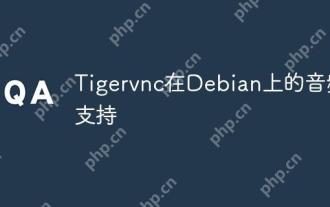 Tigervnc在Debian上的音頻支持