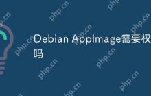 Debian AppImage需要权限吗