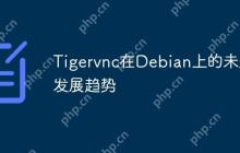 Tigervnc在Debian上的未来发展趋势