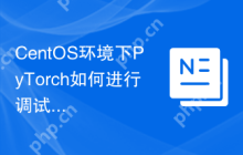 CentOS环境下PyTorch如何进行调试