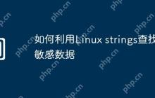 如何利用Linux strings查找敏感数据