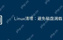 Linux清理：避免磁盘满载