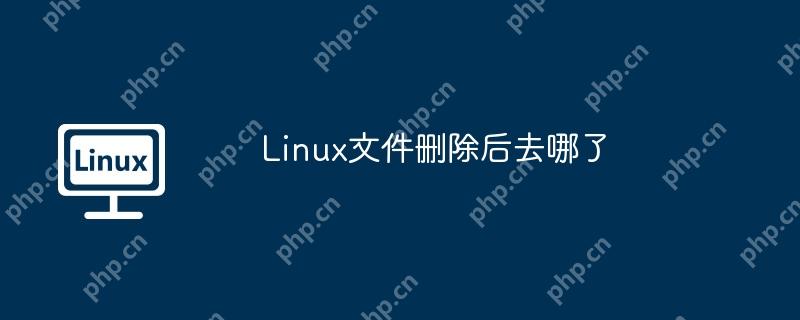 Linux文件删除后去哪了