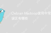 Debian Hadoop使用中常见误区有哪些