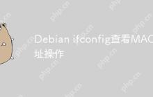 Debian ifconfig查看MAC地址操作