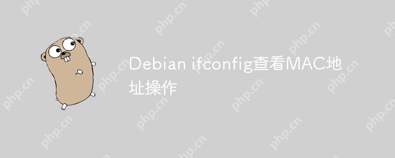 Debian ifconfig查看MAC地址操作-小浪学习网