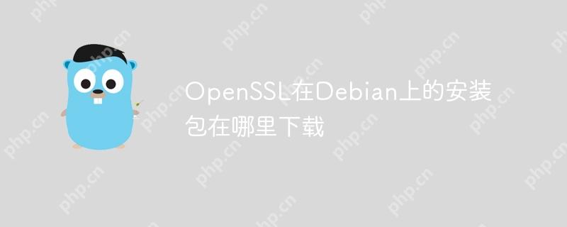 OpenSSL在Debian上的安装包在哪里下载-小浪学习网