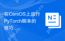 在CentOS上运行PyTorch脚本的技巧