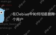 在Debian中如何彻底删除一个用户