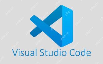 How to improve the efficiency of VSCode's code navigation function in large code bases