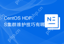 CentOS HDFS集群维护技巧有哪些