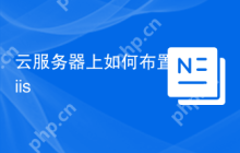 云服务器上如何布置iis