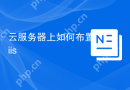 云服务器上如何布置iis