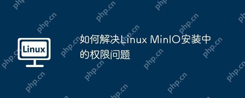 如何解决linux minio安装中的权限问题