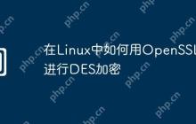 在Linux中如何用OpenSSL进行DES加密