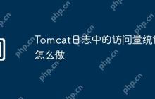Tomcat日志中的访问量统计怎么做