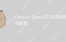 Debian OpenSSL如何进行漏洞修复