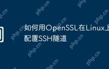 如何用OpenSSL在Linux上配置SSH隧道