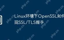 Linux环境下OpenSSL如何实现SSL/TLS握手