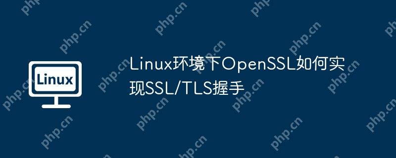 Linux環(huán)境下OpenSSL如何實現SSL/TLS握手