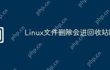 Linux文件删除会进回收站吗