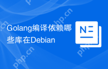 Golang编译依赖哪些库在Debian