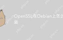OpenSSL在Debian上怎么安装