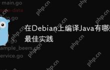 在Debian上编译Java有哪些最佳实践