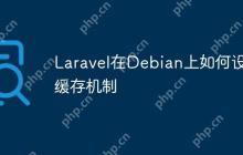 Laravel在Debian上如何设置缓存机制
