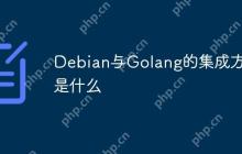 Debian与Golang的集成方式是什么