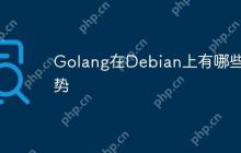 Golang在Debian上有哪些优势