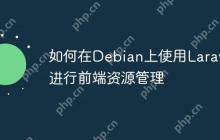 如何在Debian上使用Laravel进行前端资源管理