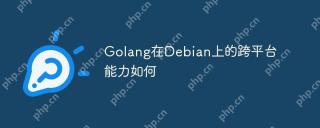 Golang在Debian上的跨平台能力如何
