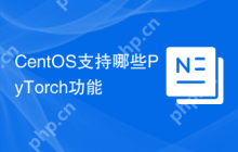 CentOS支持哪些PyTorch功能