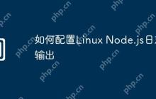 如何配置Linux Node.js日志输出
