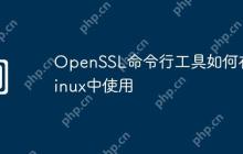 OpenSSL命令行工具如何在Linux中使用