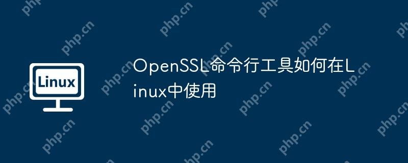 OpenSSL命令行工具如何在Linux中使用-小浪学习网