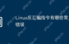 Linux反汇编指令有哪些常见错误