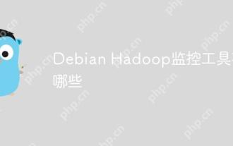 What are the Debian Hadoop monitoring tools?