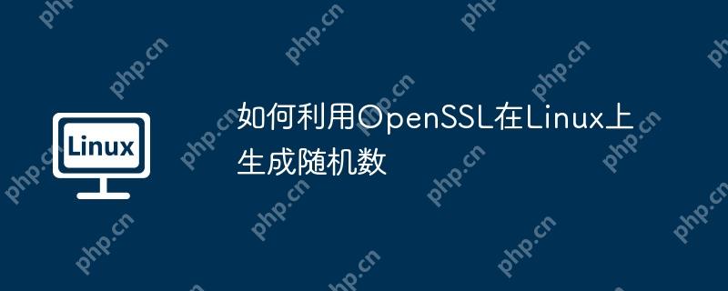 如何利用openssl在linux上生成随机数