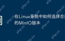 在Linux系统中如何选择合适的MinIO版本
