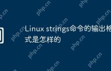 Linux strings命令的输出格式是怎样的