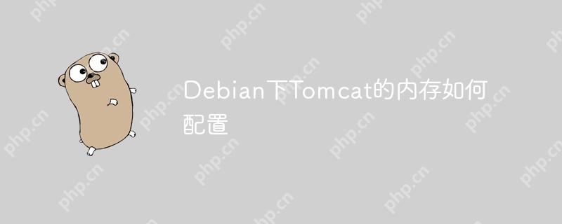 debian下tomcat的内存如何配置