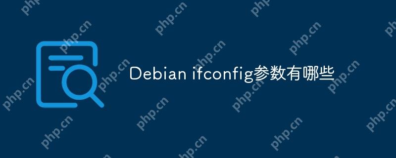 Debian ifconfig参数有哪些