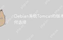Debian系统Tomcat的版本如何选择
