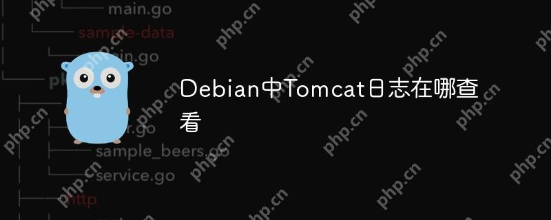 Debian中Tomcat日志在哪查看-小浪学习网