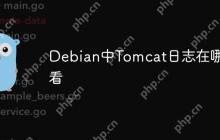 Debian中Tomcat日志在哪查看