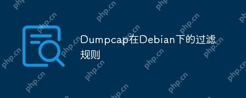 Dumpcap在Debian下的过滤规则